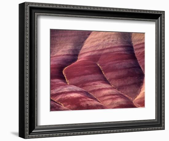 Flowers in the Gullies, Painted Hills, John Day Fossil Beds National Monument, Oregon, USA-Charles Sleicher-Framed Photographic Print