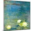 Flowers in the Pond-Andrew Michaels-Mounted Art Print