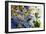 Flowers in the Sun I-Alan Hausenflock-Framed Photographic Print