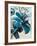 Flowers of Azure I-Angela Maritz-Framed Art Print