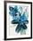 Flowers of Azure II-Angela Maritz-Framed Art Print