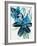 Flowers of Azure II-Angela Maritz-Framed Art Print