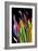 Flowers of Eden 4-Rabi Khan-Framed Art Print