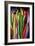 flowers of Eden 7-Rabi Khan-Framed Art Print