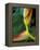 Flowers of Heliconia in the Carara Biological Reserve, Costa Rica-Scott T. Smith-Framed Premier Image Canvas