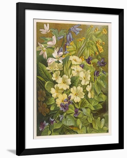 Art Print, , large