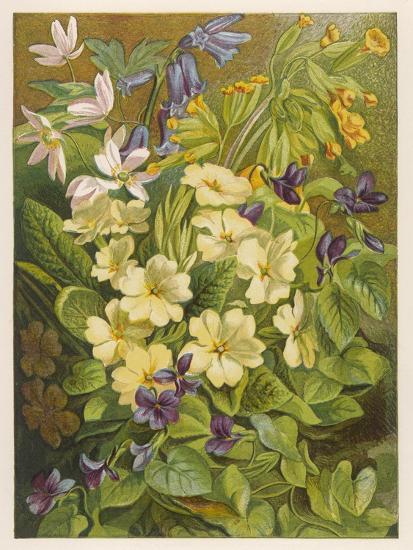 Art Print, , large