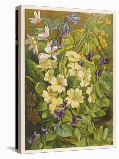Stretched Canvas Print, , large