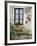 Flowers of Private Home, Burgundy, France-Lisa S. Engelbrecht-Framed Photographic Print