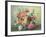 Flowers of Romantic June-Albert Williams-Framed Giclee Print