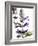 Flowers of Salvia Speciosa-Dieter Heinemann-Framed Photographic Print