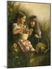 Flowers of Summer-David Lindsley-Mounted Giclee Print