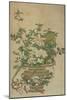 Flowers of the Four Seasons, Qing dynasty, 18th-19th century-Chinese School-Mounted Giclee Print