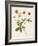 Flowers of the Seasons VIII-Unknown-Framed Art Print