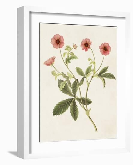 Flowers of the Seasons VIII-Unknown-Framed Art Print