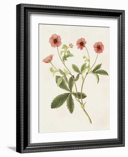 Flowers of the Seasons VIII-Unknown-Framed Art Print