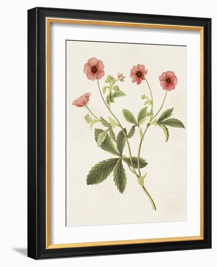 Flowers of the Seasons VIII-Unknown-Framed Art Print