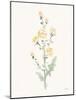 Flowers of the Wild III Pastel-Katrina Pete-Mounted Art Print