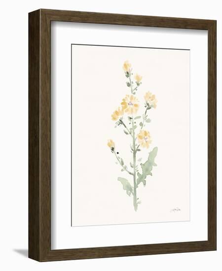 Flowers of the Wild III Pastel-Katrina Pete-Framed Premium Giclee Print