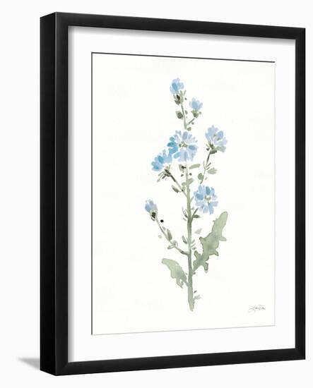 Flowers of the Wild III-Katrina Pete-Framed Art Print