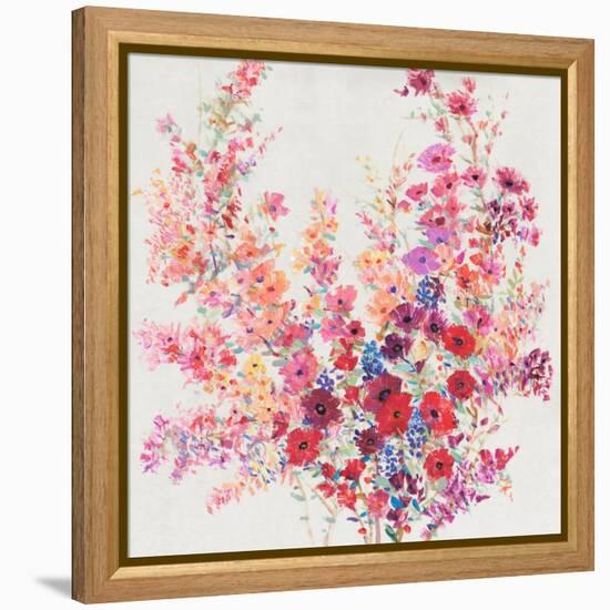 Flowers on a Vine II-Tim OToole-Framed Stretched Canvas