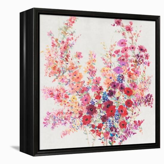 Flowers on a Vine II-Tim OToole-Framed Stretched Canvas