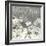 Flowers on Grey I-Ingrid Blixt-Framed Premium Giclee Print