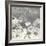 Flowers on Grey I-Ingrid Blixt-Framed Art Print