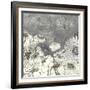 Flowers on Grey I-Ingrid Blixt-Framed Art Print