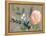 Flowers on Mocha I-Jennifer Goldberger-Framed Stretched Canvas
