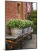 Flowers on Old Baggage Wagon, Vintage 1870 Shops, Napa Valley, California, USA-John Alves-Mounted Photographic Print