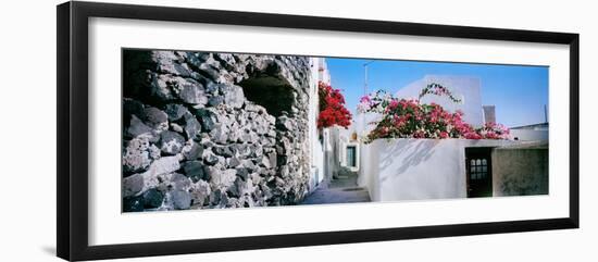 Flowers on Rooftop of a House, Santorini, Greece-null-Framed Photographic Print