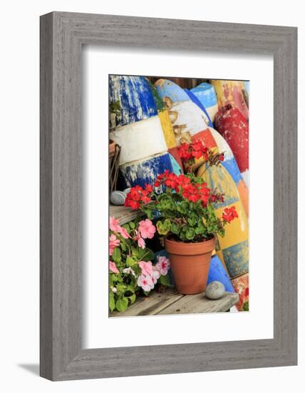 Flowers on steps among buoys, Rockport, Massachusetts-Adam Jones-Framed Photographic Print