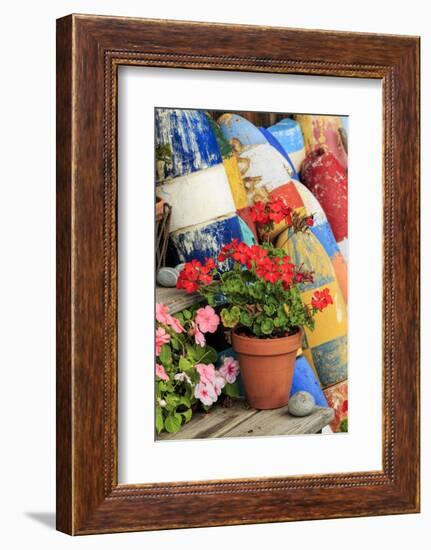 Flowers on steps among buoys, Rockport, Massachusetts-Adam Jones-Framed Photographic Print