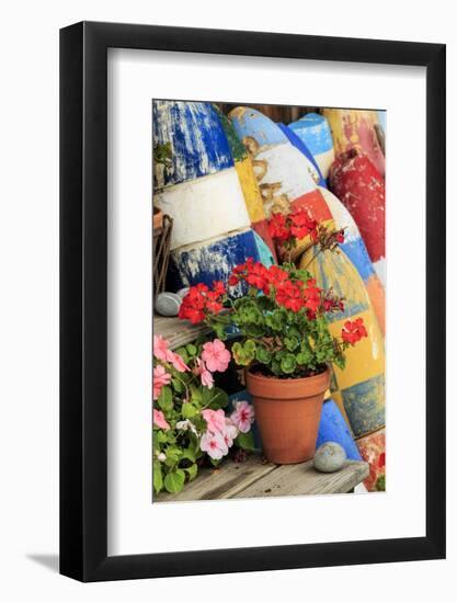 Flowers on steps among buoys, Rockport, Massachusetts-Adam Jones-Framed Photographic Print