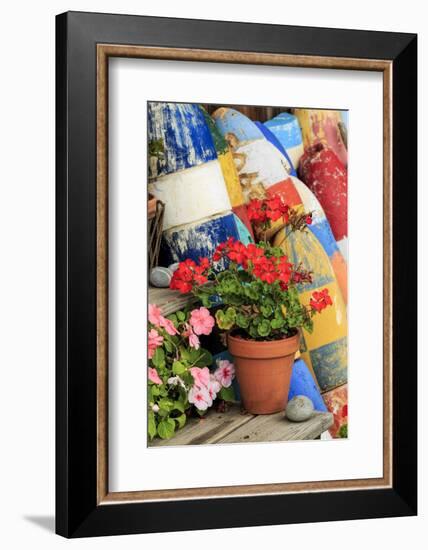 Flowers on steps among buoys, Rockport, Massachusetts-Adam Jones-Framed Photographic Print