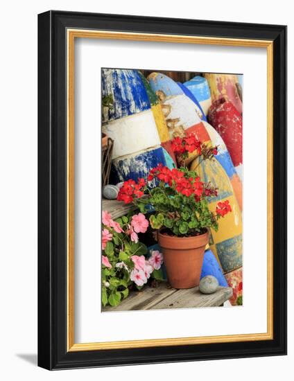 Flowers on steps among buoys, Rockport, Massachusetts-Adam Jones-Framed Photographic Print