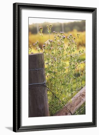 Flowers On The Fence I-Gail Peck-Framed Photo