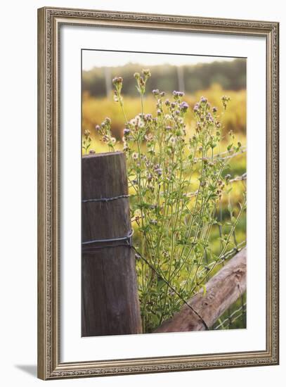 Flowers On The Fence I-Gail Peck-Framed Photo