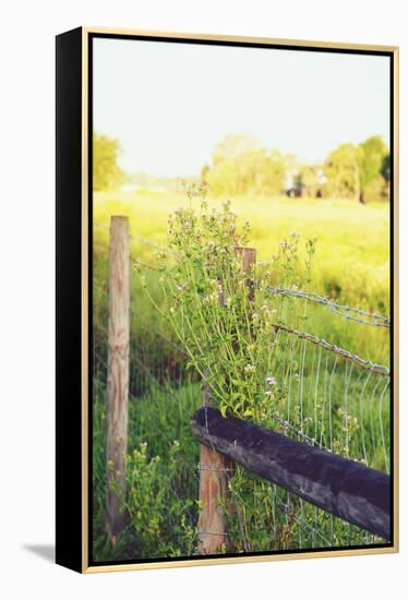 Flowers On The Fence II-Gail Peck-Framed Stretched Canvas