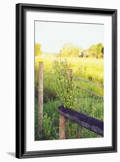 Flowers On The Fence II-Gail Peck-Framed Photo