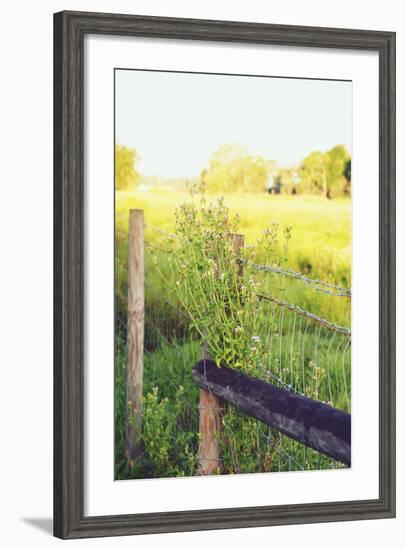 Flowers On The Fence II-Gail Peck-Framed Photo