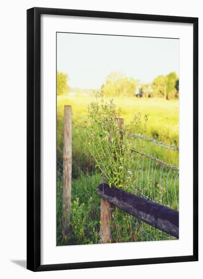 Flowers On The Fence II-Gail Peck-Framed Photo