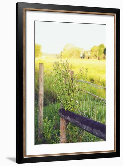Flowers On The Fence II-Gail Peck-Framed Photo