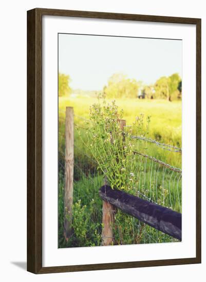 Flowers On The Fence II-Gail Peck-Framed Photo