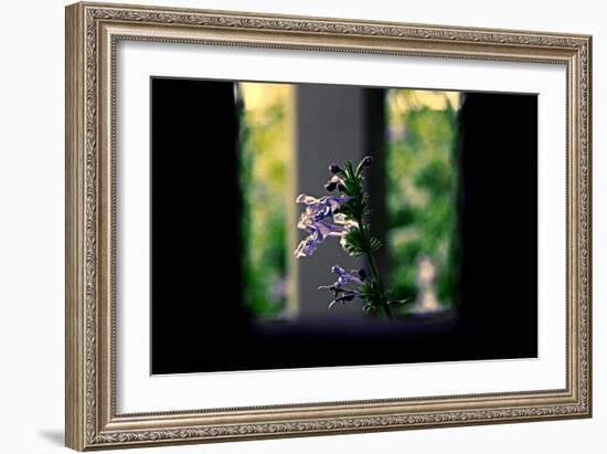 Flowers on the Highline NYC-null-Framed Photo