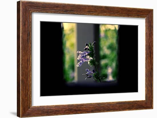 Flowers on the Highline NYC-null-Framed Photo