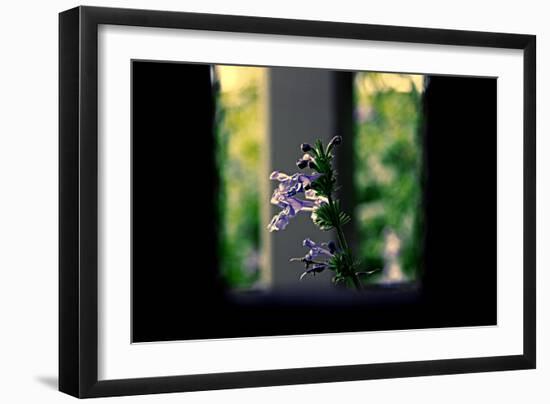 Flowers on the Highline NYC-null-Framed Photo