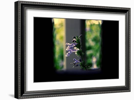 Flowers on the Highline NYC-null-Framed Photo