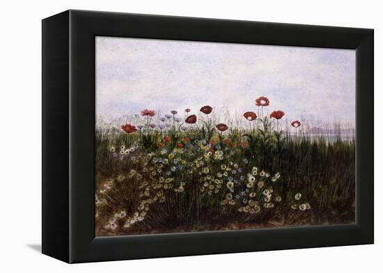 Flowers on the Irish Coast-Andrew Nicholl-Framed Premier Image Canvas